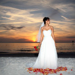 trivia about wedding dresses