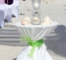 Florida beach wedding themes by Suncoast Weddings