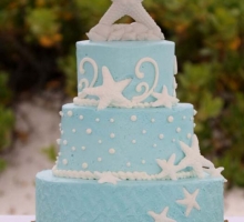 Aqua Florida Beach Wedding