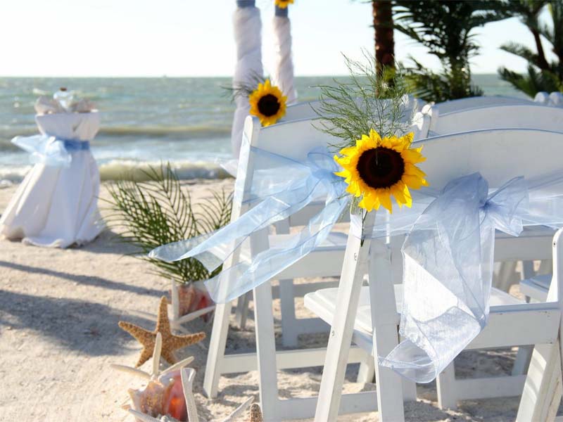 Florida Beach Wedding Chairs Suncoast Weddingssuncoast Weddings