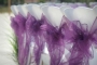 eggplant chair sashes