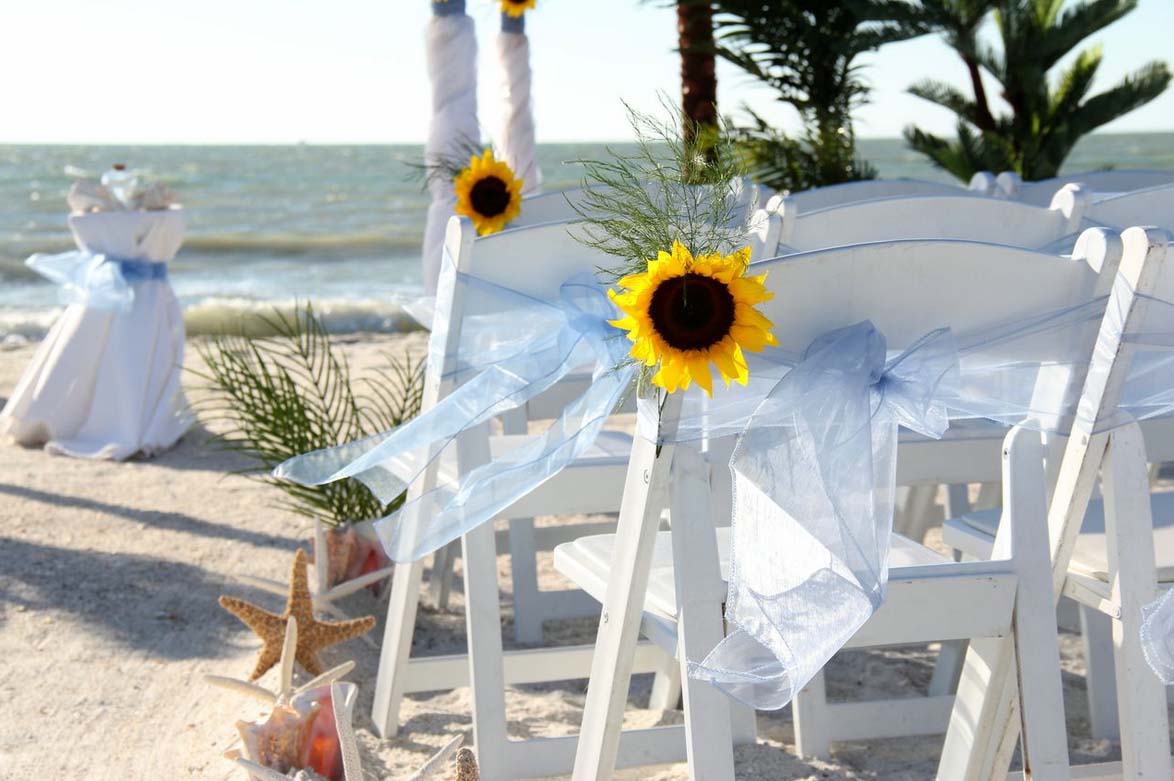 sunflowers accents on chairs
