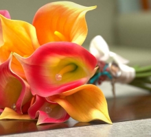 Florida beach weddings and accommodation package