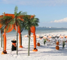 Themed Florida beach weddings