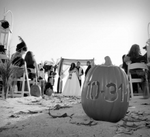 Themed Florida beach weddings