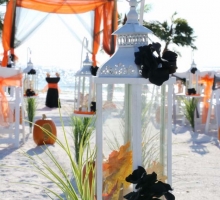 Themed Florida beach weddings