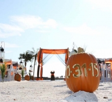 Themed Florida beach weddings