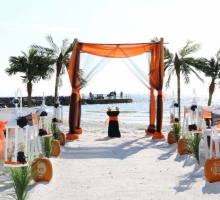 Themed Florida beach weddings