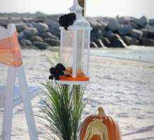 Themed Florida beach weddings