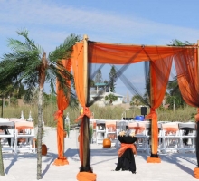 Themed Florida beach weddings