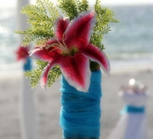 Hot Pink and Cool Blue Hot Pink and Cool Blue