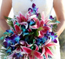 Hot Pink and Cool Blue Hot Pink and Cool Blue