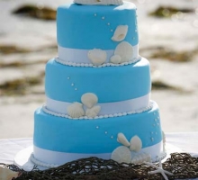 Florida Beach Weddings and Reception Packages at Sand Key Park