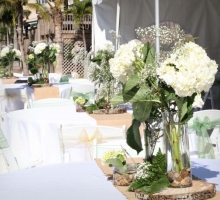 Florida Beach Weddings and Reception Packages at Sand Key Park