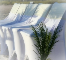 Themed Florida beach weddings - shades of yellow Themed Florida beach weddings - shades of yellow