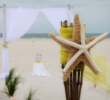 Themed Florida beach weddings - shades of yellow Themed Florida beach weddings - shades of yellow