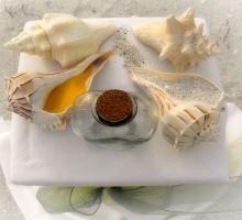 Themed Florida beach weddings - shades of yellow Themed Florida beach weddings - shades of yellow