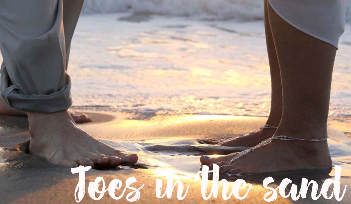 Florida beach wedding packages - Toes in the Sand