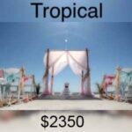 Florida beach weddings tropical wedding package 2023