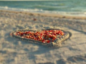 Florida wedding packages