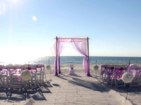 Lilac Promise