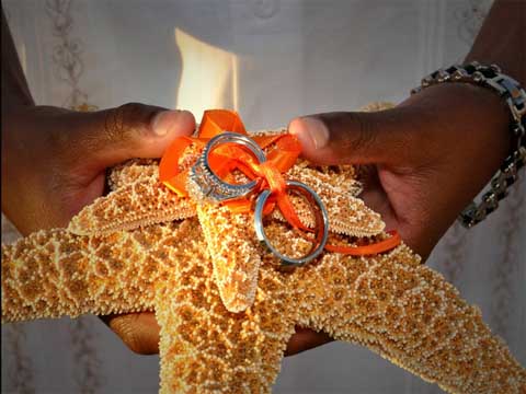 starfish beach wedding theme
