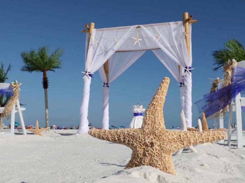 Wedding Party Ceremony ~Starfish~ Ocean Beach Sunsets Theme Garters 2 
