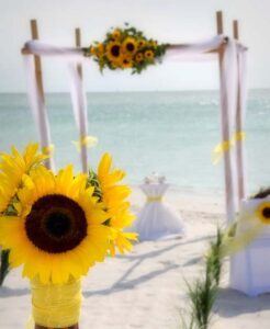 sunflower beach wedding theme