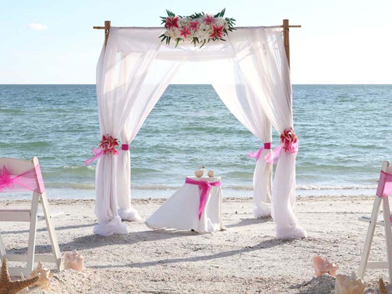 Stargazer lily beach wedding theme