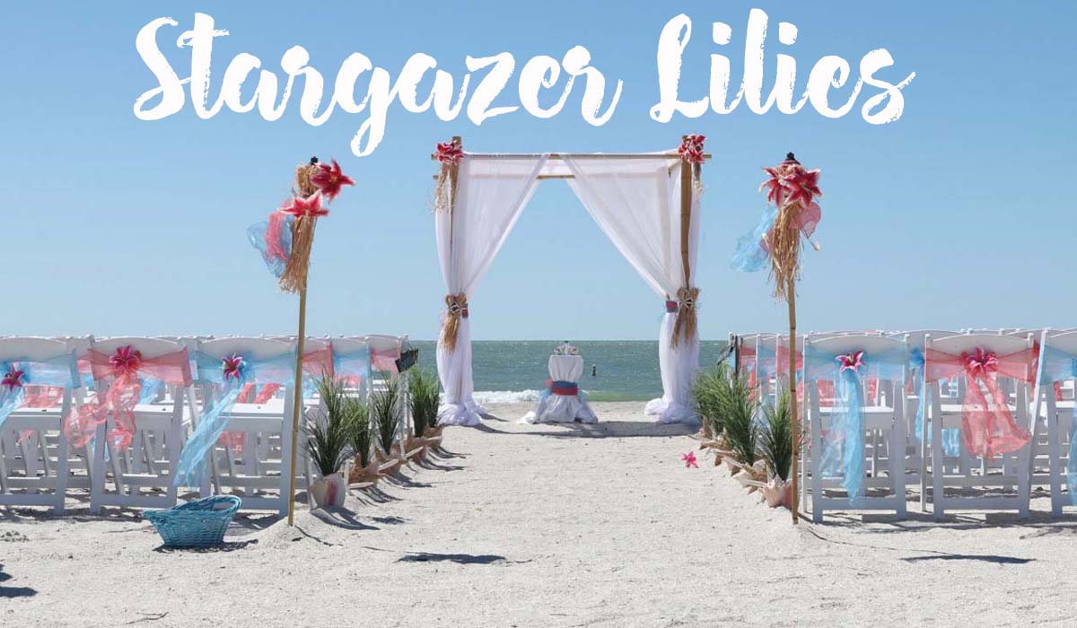 Stargazer lily beach wedding theme