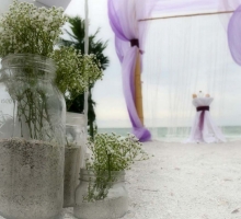 Shades of green for your Florida beach wedding Shades of green for your Florida beach wedding