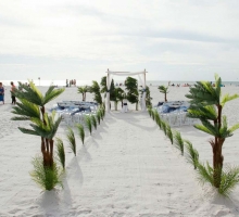 Shades of green for your Florida beach wedding Shades of green for your Florida beach wedding