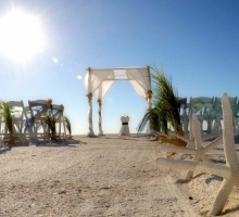 Shades of green for your Florida beach wedding Shades of green for your Florida beach wedding