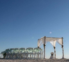 Shades of green for your Florida beach wedding Shades of green for your Florida beach wedding