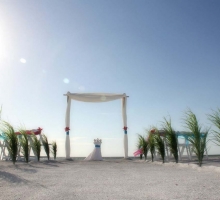 Shades of green for your Florida beach wedding