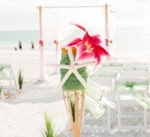 stargazers with jade stargazers with jade