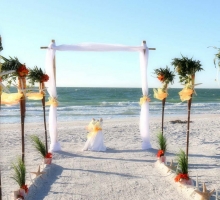 Shades of green for your Florida beach wedding Shades of green for your Florida beach wedding