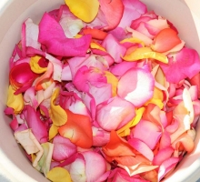 Florida beach wedding flowers, bouquets, fresh petals, decor Florida beach wedding flowers, bouquets, fresh petals, decor