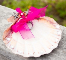 scallop with rings scallop with rings