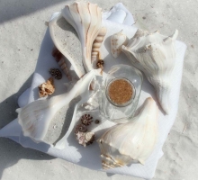 Florida beach weddings Florida beach weddings