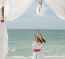 Florida beach wedding themes by Suncoast Weddings Florida beach wedding themes by Suncoast Weddings