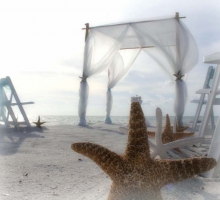 Clearwater beach weddings Clearwater beach weddings