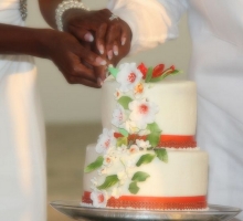 Florida beach wedding themes - Suncoast Weddings 'tangerine dream' Florida beach wedding themes - Suncoast Weddings 'tangerine dream'