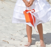 Florida beach wedding themes - Suncoast Weddings 'tangerine dream' Florida beach wedding themes - Suncoast Weddings 'tangerine dream'