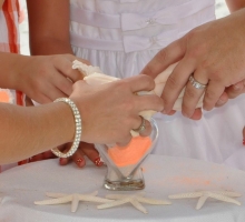 Florida beach wedding themes - Suncoast Weddings 'tangerine dream'