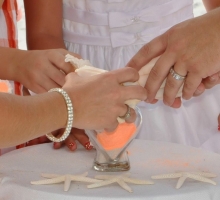 Florida beach wedding themes - Suncoast Weddings 'tangerine dream' Florida beach wedding themes - Suncoast Weddings 'tangerine dream'