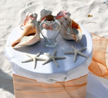 Florida beach wedding themes - Suncoast Weddings 'tangerine dream' Florida beach wedding themes - Suncoast Weddings 'tangerine dream'